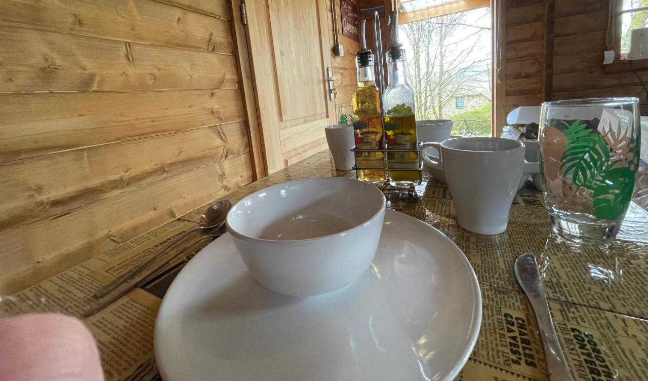 Retro Private Lodge With Hot Tub Nr Dartmoor Newton Abbot Exterior foto